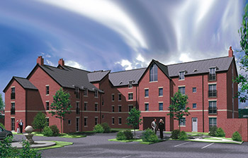 New development feasibility study